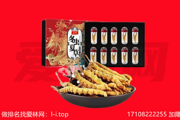 绵阳市回收虫草.jpg